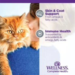 Wellness Complete Health Age Advantage Grain-Free Variety Pack Wet Cat Food, 3-oz Can, Case Of 24 -Wellness Sales 548950 PT5. AC SS1800 V1657748946