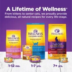 Wellness Complete Health Age Advantage Grain-Free Variety Pack Wet Cat Food, 3-oz Can, Case Of 24 -Wellness Sales 548950 PT6. AC SS1800 V1657748947