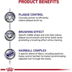 Royal Canin Veterinary Diet Adult Dental Dry Cat Food -Wellness Sales 57600 PT3. AC SS1800 V1644980783