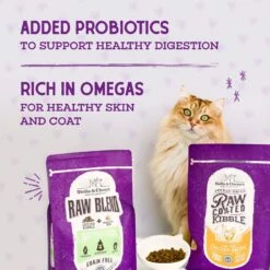 Stella & Chewy's Chicken Flavored Raw Coated Cage Free Dry Cat Food 8 Stella & Chewy's Chicken Flavored Raw Coated Cage Free Dry Cat Food -Wellness Sales 576062 PT6. AC SS1800 V1678908307