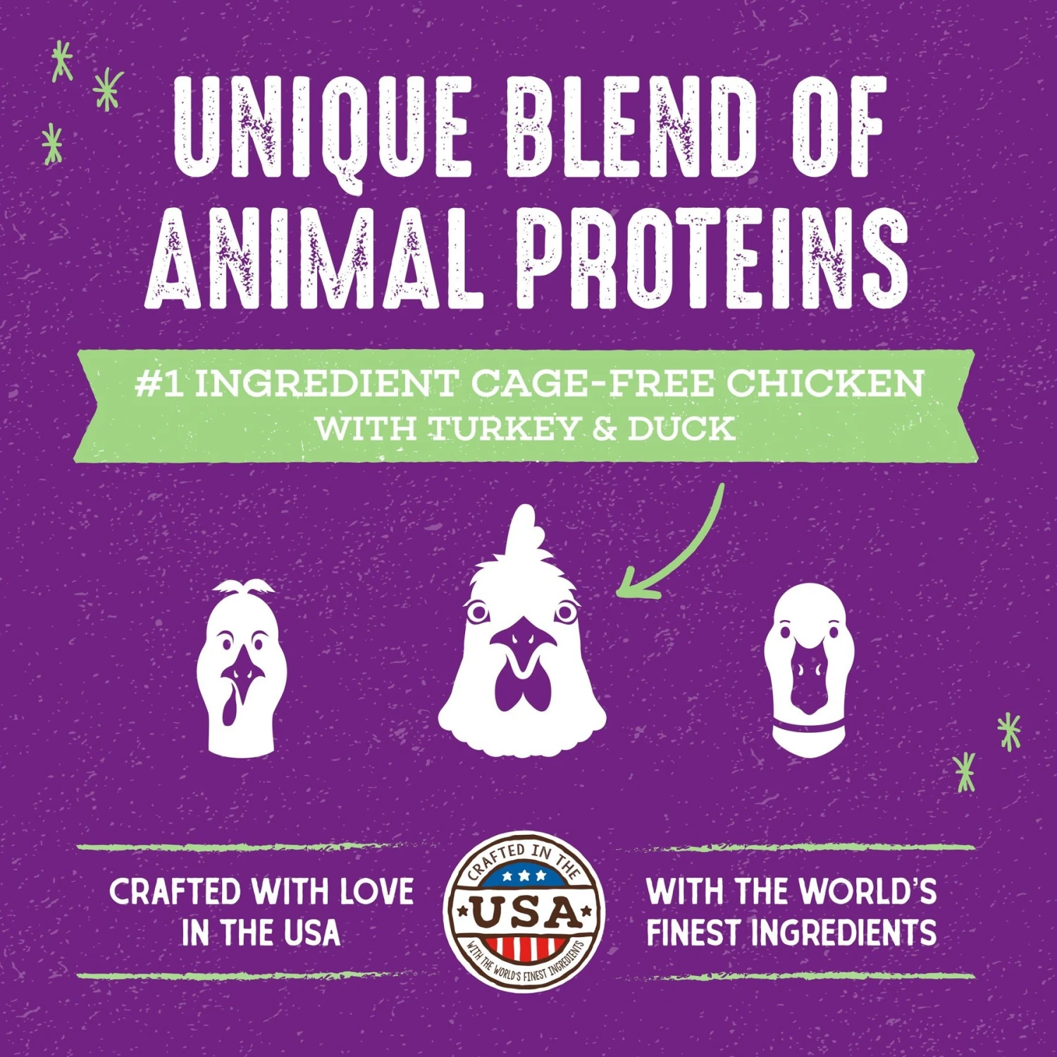 Stella & Chewy's Poultry Flavored Raw Blend Cage Free Recipe Dry Cat Food 2 Stella & Chewy's Poultry Flavored Raw Blend Cage Free Recipe Dry Cat Food - Image 2