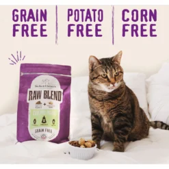 Stella & Chewy's Poultry Flavored Raw Blend Cage Free Recipe Dry Cat Food 11 Stella & Chewy's Poultry Flavored Raw Blend Cage Free Recipe Dry Cat Food -Wellness Sales 576126 PT3. AC SS1800 V1657660401