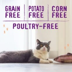 Stella & Chewy's Raw Blend Wild Caught Recipe Dry Cat Food 7 Stella & Chewy's Raw Blend Wild Caught Recipe Dry Cat Food -Wellness Sales 576174 PT3. AC SS1800 V1657660401