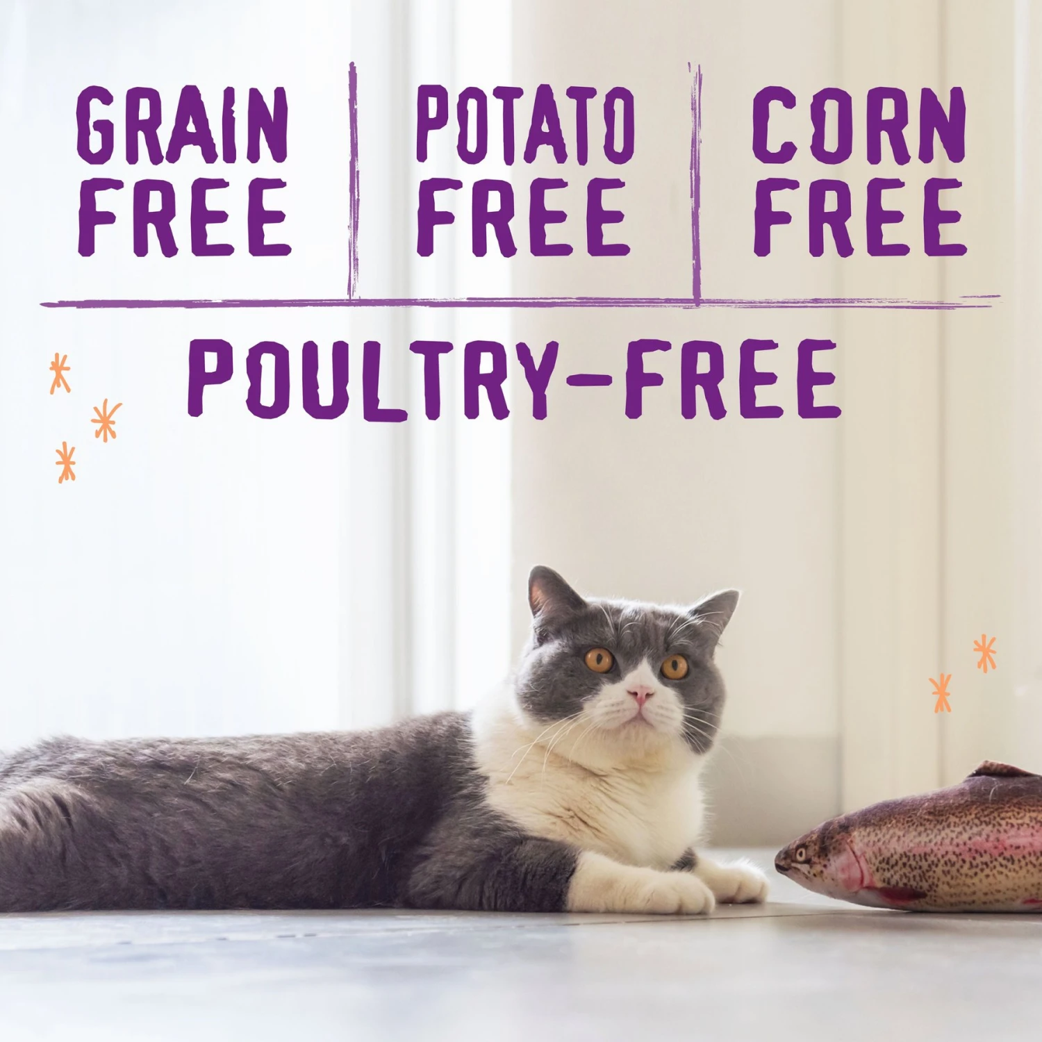 Stella & Chewy's Raw Blend Wild Caught Recipe Dry Cat Food 3 Stella & Chewy's Raw Blend Wild Caught Recipe Dry Cat Food - Image 3