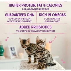 Stella & Chewy's Chicken Flavored Raw Coated Cage-Free Kitten Dry Cat Food 6 Stella & Chewy's Chicken Flavored Raw Coated Cage-Free Kitten Dry Cat Food -Wellness Sales 576198 PT5. AC SS1800 V1657660463