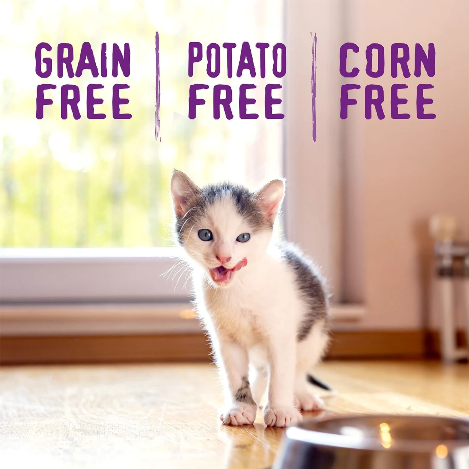 Stella & Chewy's Chicken Flavored Raw Coated Cage-Free Kitten Dry Cat Food 4 Stella & Chewy's Chicken Flavored Raw Coated Cage-Free Kitten Dry Cat Food - Image 4