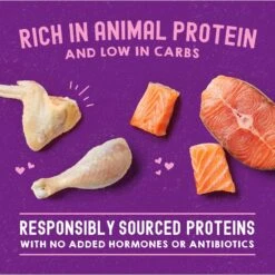 Stella & Chewy's Carnivore Cravings Chicken & Salmon Flavored Shredded Wet Cat Food -Wellness Sales 576246 PT3. AC SS1800 V1657660465