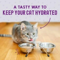 Stella & Chewy's Carnivore Cravings Chicken & Salmon Flavored Shredded Wet Cat Food -Wellness Sales 576246 PT7. AC SS1800 V1657660465