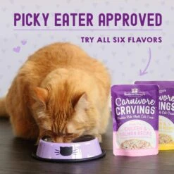 Stella & Chewy's Carnivore Cravings Chicken & Salmon Flavored Shredded Wet Cat Food -Wellness Sales 576246 PT8. AC SS1800 V1657660465