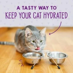 Stella & Chewy's Purrfect Pate Chicken & Chicken Liver Flavored Pate Wet Cat Food -Wellness Sales 576318 PT7. AC SS1800 V1657660466