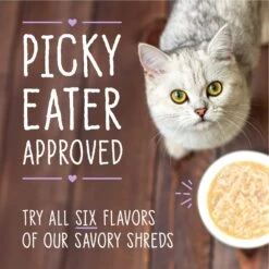 Stella & Chewy's Savory Shreds Chicken & Chicken Liver Flavored Shredded Wet Cat Food -Wellness Sales 576486 PT8. AC SS1800 V1657660469