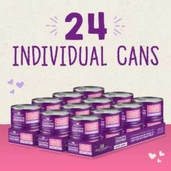 Stella & Chewy's Savory Shreds Chicken & Salmon Flavored Shredded Wet Cat Food -Wellness Sales 576510 PT6. AC SS1800 V1657660470