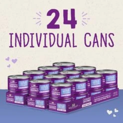 Stella & Chewy's Savory Shreds Chicken & Turkey Flavored Shredded Wet Cat Food -Wellness Sales 576534 PT6. AC SS1800 V1657660471