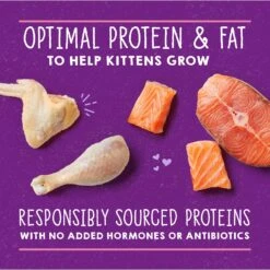 Stella & Chewy's Chicken & Salmon Flavored Pate Kitten Wet Cat Food -Wellness Sales 576606 PT3. AC SS1800 V1657660473