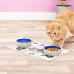 ORE Pet The Daily Cat Placemat -Wellness Sales 58425 PT7. AC SS1800 V1517251267