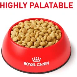 Royal Canin Veterinary Diet Adult Satiety Support Weight Management Dry Cat Food -Wellness Sales 58752 PT2. AC SS1800 V1676556700