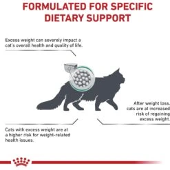 Royal Canin Veterinary Diet Adult Satiety Support Weight Management Dry Cat Food -Wellness Sales 58752 PT3. AC SS1800 V1676556635