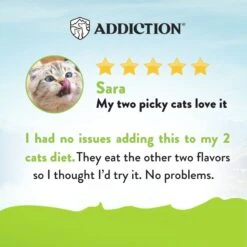 Addiction Viva La Venison Entree Complete & Balanced Immune Boost Grain-Free Dry Cat Food 12 Addiction Viva La Venison Entree Complete & Balanced Immune Boost Grain-Free Dry Cat Food -Wellness Sales 60092 PT4. AC SS1800 V1696253889