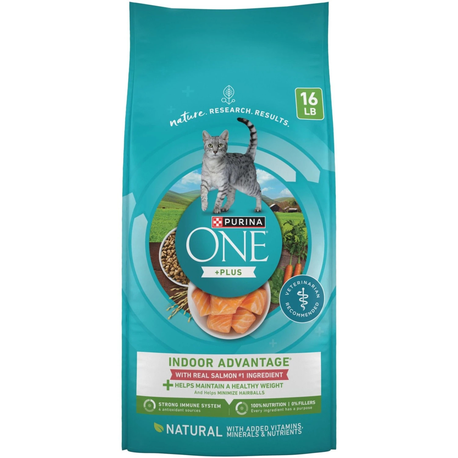 Purina ONE +Plus Indoor Advantage With Real Salmon Natural Adult Dry Cat Food 1 Purina ONE +Plus Indoor Advantage With Real Salmon Natural Adult Dry Cat Food