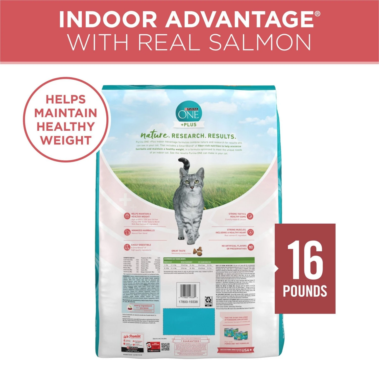 Purina ONE +Plus Indoor Advantage With Real Salmon Natural Adult Dry Cat Food 2 Purina ONE +Plus Indoor Advantage With Real Salmon Natural Adult Dry Cat Food - Image 2