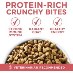 Purina ONE +Plus Indoor Advantage With Real Salmon Natural Adult Dry Cat Food 11 Purina ONE +Plus Indoor Advantage With Real Salmon Natural Adult Dry Cat Food -Wellness Sales 610862 PT2. AC SS1800 V1674843980