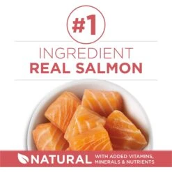 Purina ONE +Plus Indoor Advantage With Real Salmon Natural Adult Dry Cat Food 12 Purina ONE +Plus Indoor Advantage With Real Salmon Natural Adult Dry Cat Food -Wellness Sales 610862 PT3. AC SS1800 V1674843979