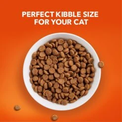 Iams ProActive Health Healthy Senior Dry Cat Food -Wellness Sales 61410 PT2. AC SS1800 V1609974741