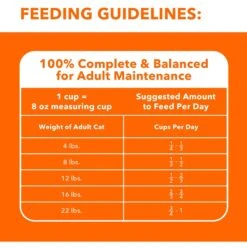 Iams ProActive Health Healthy Senior Dry Cat Food -Wellness Sales 61410 PT6. AC SS1800 V1609949272