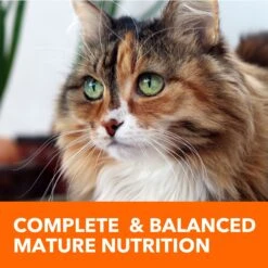 Iams ProActive Health Healthy Senior Dry Cat Food -Wellness Sales 61410 PT7. AC SS1800 V1609949647