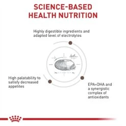 Royal Canin Veterinary Diet Adult Gastrointestinal Moderate Calorie Dry Cat Food 12 Royal Canin Veterinary Diet Adult Gastrointestinal Moderate Calorie Dry Cat Food -Wellness Sales 61807 PT3. AC SS1800 V1691702090