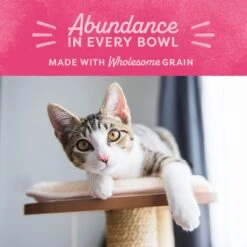 Natural Balance Fat Cats With Chicken Meal, Salmon Meal, Garbanzo Beans, Peas & Oatmeal Dry Cat Food -Wellness Sales 61829 PT7. AC SS1800 V1522269621