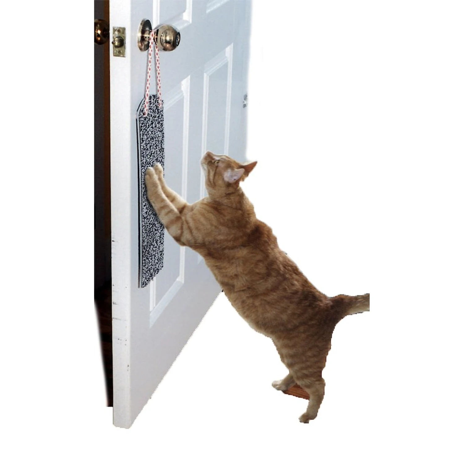 Omega Paw Door Hanging Cat Scratchy Pad 1 Omega Paw Door Hanging Cat Scratchy Pad
