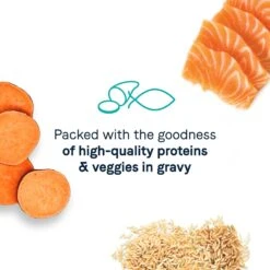 CANIDAE Balanced Bowl Salmon & Sweet Potato Recipe In Gravy Wet Cat Food, 3-oz Can, Case Of 24 & CANIDAE Adore Grain-Free Salmon & Whitefish In Broth Canned Cat Food 13 CANIDAE Balanced Bowl Salmon & Sweet Potato Recipe In Gravy Wet Cat Food, 3-oz Can, Case Of 24 & CANIDAE Adore Grain-Free Salmon & Whitefish In Broth Canned Cat Food -Wellness Sales 632662 PT4. AC SS1800 V1663602800