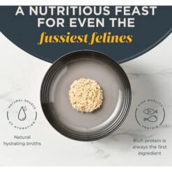 Reveal Natural Grain-Free Chicken Breast In Broth Flavored Wet Cat Food 10 Reveal Natural Grain-Free Chicken Breast In Broth Flavored Wet Cat Food -Wellness Sales 638070 PT3. AC SS1800 V1663106667
