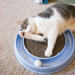 Bergan Scratcher Replacement Pads, 2 Count -Wellness Sales 64228 PT4. AC SS1800 V1673648563