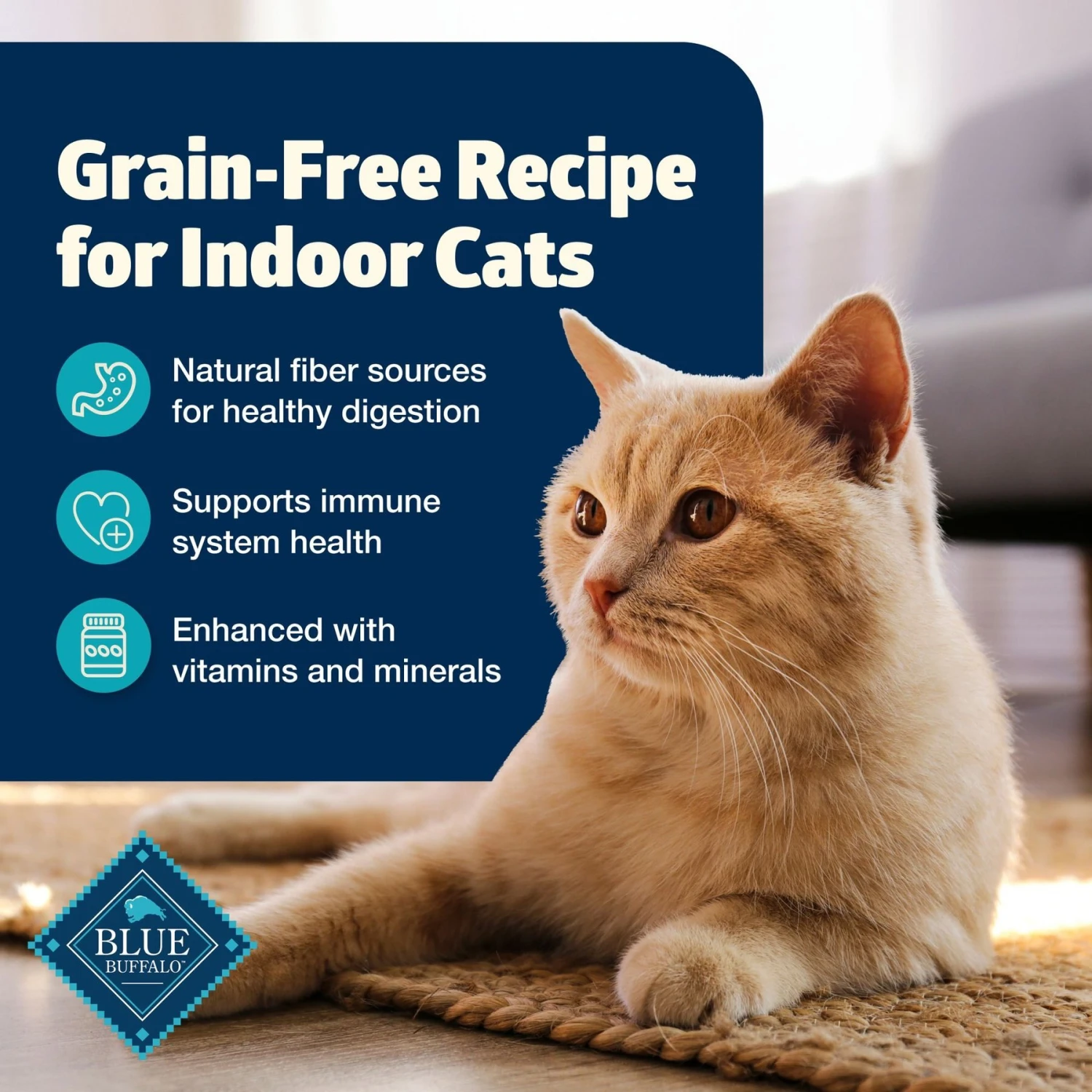 Blue Buffalo Freedom Indoor Adult Fish Recipe Grain-Free Dry Cat Food 3 Blue Buffalo Freedom Indoor Adult Fish Recipe Grain-Free Dry Cat Food - Image 3
