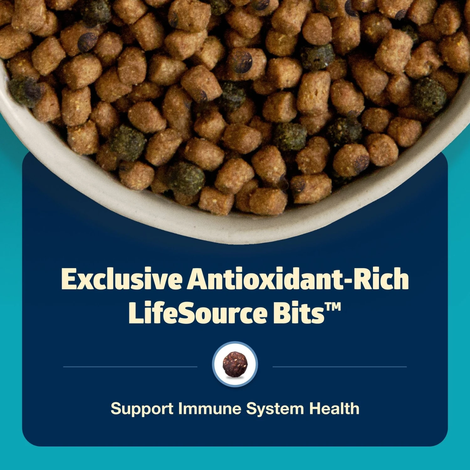 Blue Buffalo Freedom Indoor Adult Fish Recipe Grain-Free Dry Cat Food 6 Blue Buffalo Freedom Indoor Adult Fish Recipe Grain-Free Dry Cat Food - Image 6