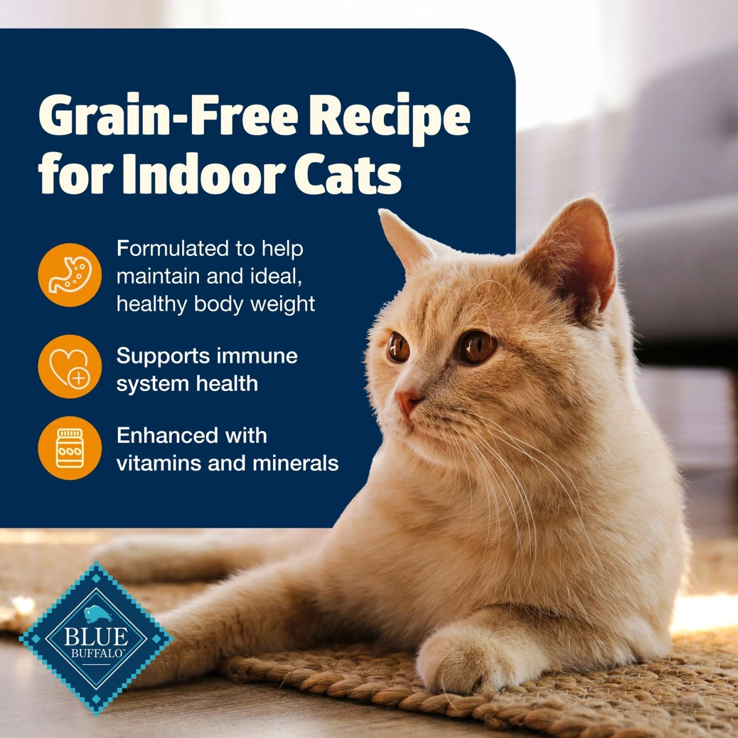 Blue Buffalo Freedom Indoor Weight Control Chicken Recipe Grain-Free Dry Cat Food 3 Blue Buffalo Freedom Indoor Weight Control Chicken Recipe Grain-Free Dry Cat Food - Image 3