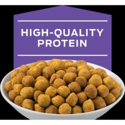 Purina Pro Plan Veterinary Diets DH Dental Health Dry Cat Food 12 Purina Pro Plan Veterinary Diets DH Dental Health Dry Cat Food -Wellness Sales 64884 PT3. AC SS1800 V1700159089