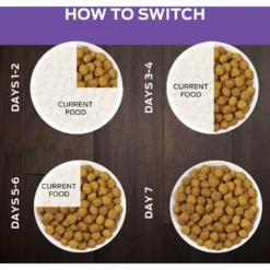 Purina Pro Plan Veterinary Diets DH Dental Health Dry Cat Food 17 Purina Pro Plan Veterinary Diets DH Dental Health Dry Cat Food -Wellness Sales 64884 PT8. AC SS1800 V1700158368