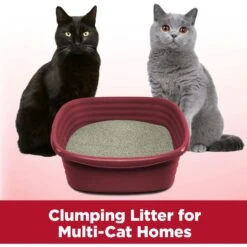 Blue Buffalo Tastefuls Sensitive Stomach Natural Chicken Adult Dry Cat Food & Arm & Hammer Litter Clump & Seal Multi-Cat Scented Clumping Clay Cat Litter -Wellness Sales 653462 PT7. AC SS1800 V1665512922