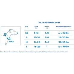 STAR WARS THE MANDALORIAN GROGU Pumpkin Dog Collar + 2 Items -Wellness Sales 656358 PT2. AC SS1800 V1665684477