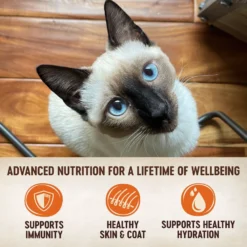Wellness CORE Signature Selects Shredded Boneless Chicken & Turkey Entree In Sauce Grain-Free Natural Canned Cat Food & Wellness CORE Signature Selects Shredded Boneless Chicken & Beef Entree In Sauce Grain-Free Canned Cat Food 17 Wellness CORE Signature Selects Shredded Boneless Chicken & Turkey Entree In Sauce Grain-Free Natural Canned Cat Food & Wellness CORE Signature Selects Shredded Boneless Chicken & Beef Entree In Sauce Grain-Free Canned Cat Food -Wellness Sales 662646 PT8. AC SS1800 V1667331827