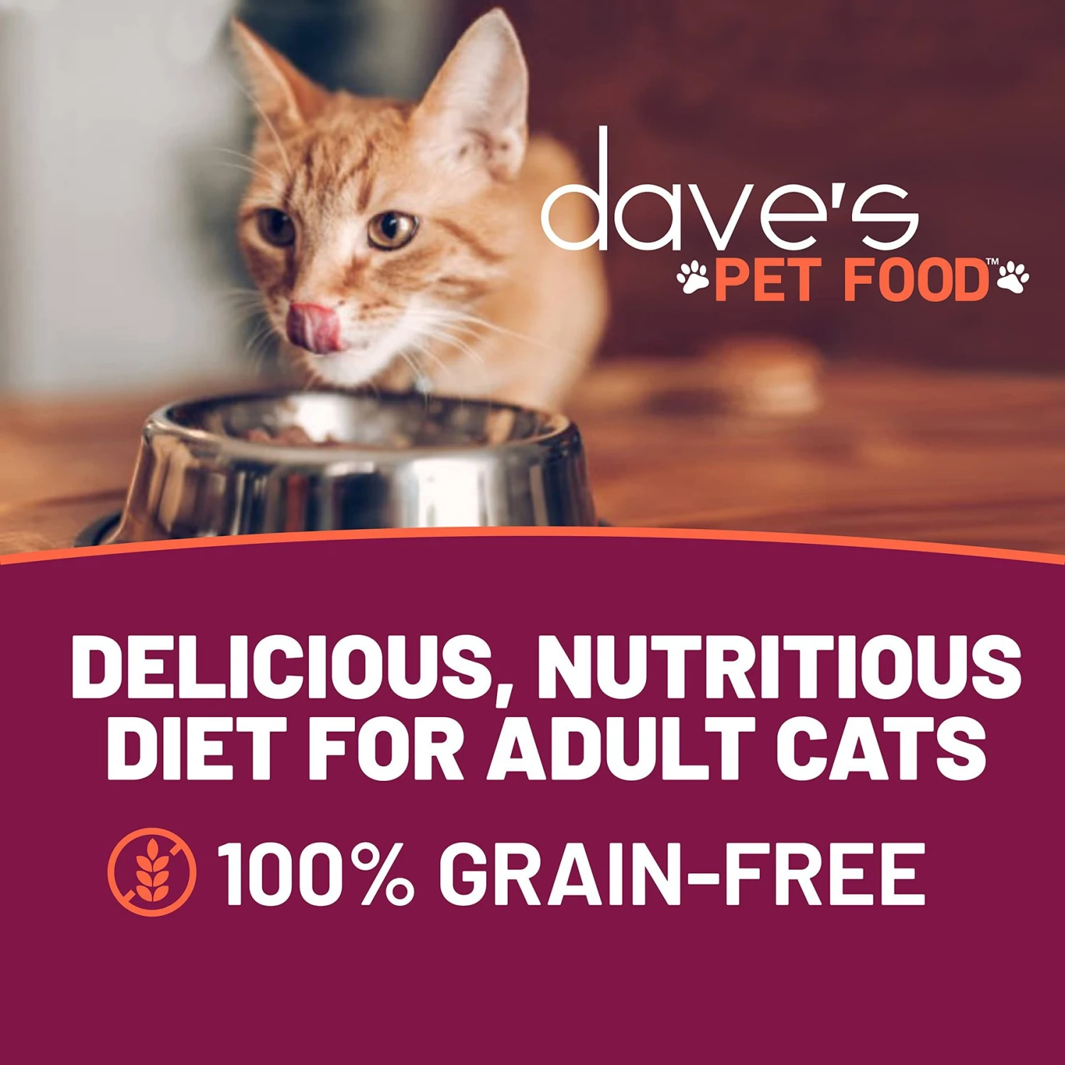 Dave's Pet Food Naturally Healthy Grain-Free Grilled Tuna & Shrimp Dinner In Gravy Canned Cat Food 2 Dave's Pet Food Naturally Healthy Grain-Free Grilled Tuna & Shrimp Dinner In Gravy Canned Cat Food - Image 2