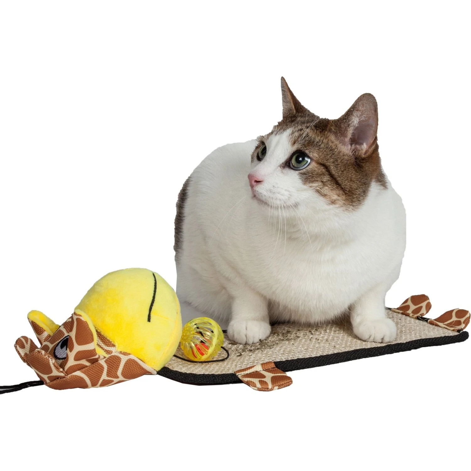 Pet Life Paw-Pleasant Eco-Natural Sisal & Jute Hanging Carpet Kitty Cat Scratcher & Toy 3 Pet Life Paw-Pleasant Eco-Natural Sisal & Jute Hanging Carpet Kitty Cat Scratcher & Toy - Image 3