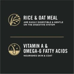 Purina Pro Plan Adult Sensitive Skin & Stomach Lamb & Rice Formula Dry Cat Food -Wellness Sales 67888 PT3. AC SS1800 V1649228785