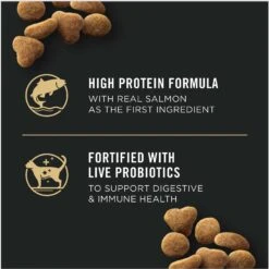 Purina Pro Plan Adult Indoor Hairball Management Salmon & Rice Formula Dry Cat Food -Wellness Sales 67895 PT3. AC SS1800 V1633987277