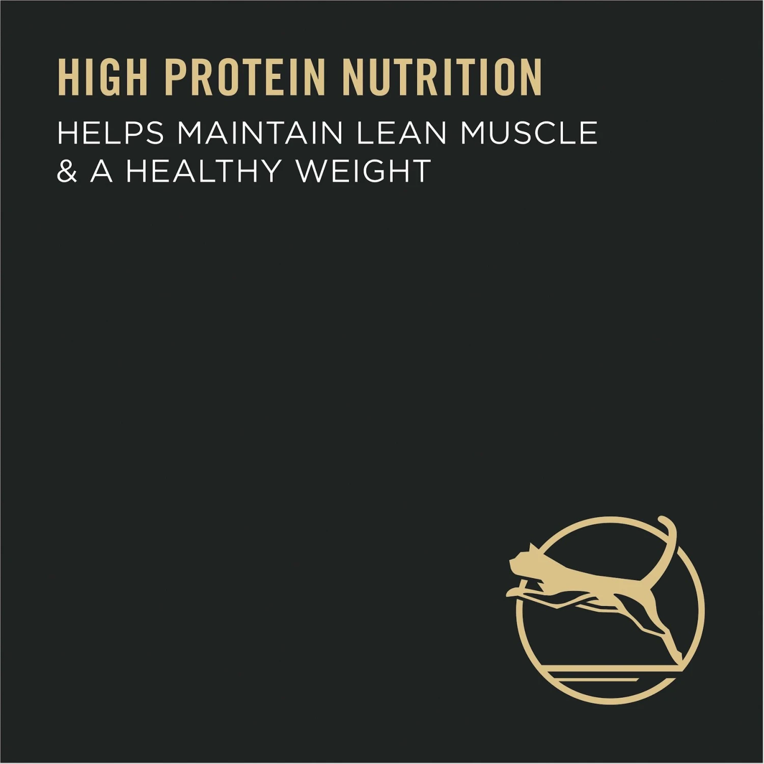 Purina Pro Plan Adult Indoor Hairball Management Turkey & Rice Formula Dry Cat Food 5 Purina Pro Plan Adult Indoor Hairball Management Turkey & Rice Formula Dry Cat Food - Image 5