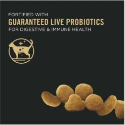 Purina Pro Plan Kitten Chicken & Rice Formula Dry Cat Food -Wellness Sales 67911 PT2. AC SS1800 V1649229429