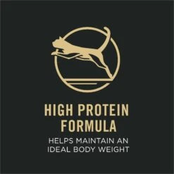 Purina Pro Plan Focus Adult Indoor Care Salmon & Rice Entree In Sauce Canned Cat Food -Wellness Sales 67915 PT2. AC SS1800 V1669672511